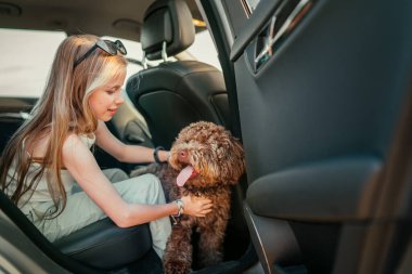 Portre Fluffy kahverengi Maltipoo köpeği ve küçük kız portresi onlar araba yolculuğu sırasında arka koltukta otururken. Modern bir aile kavramında komik hayvanlar.
