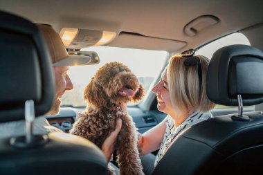Çift, araba koltuklarında oturan sevimli kahverengi Maltipoo 'yla yolculuğun tadını çıkarıyor. Kadın köpeğe gülümser, yolculuk boyunca neşe ve arkadaşlık anı yakalar. Modern aile seyahatleri için mükemmel.