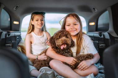 Küçük kızlar arabanın bagajında otururken pofuduk kahverengi Maltipoo köpeğiyle oynuyorlar. Otomobil yolculuğu sırasında neşeli ve canlı bir sahne yaratmak için köpekle oynuyorlar. Modern aile kavramında komik hayvanlar.