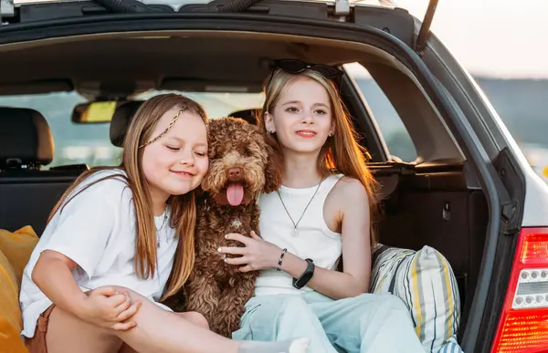 Küçük kızlar sen arabanın bagajında otururken pofuduk kahverengi Maltipoo köpeğiyle oynuyorlar. Otomobil yolculuğu sırasında neşeli ve canlı bir sahne yaratmak için köpekle oynuyorlar. Modern aile kavramında komik hayvanlar.