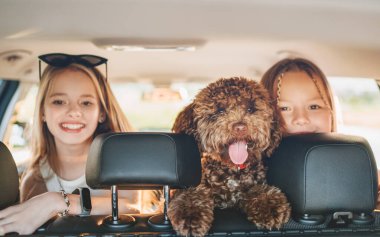 Sen arabanın arka koltuğunda otururken küçük kızlar pofuduk kahverengi Maltipoo köpeğiyle oynuyorlar. Otomobil yolculuğu sırasında neşeli ve canlı bir sahne yaratmak için köpekle oynuyorlar. Modern aile kavramında komik hayvanlar