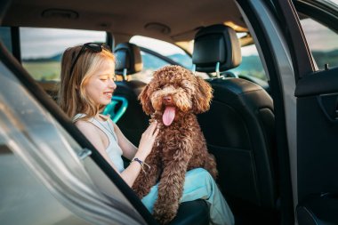 Portre Fluffy kahverengi Maltipoo köpeği ve küçük kız portresi onlar araba yolculuğu sırasında arka koltukta otururken. Modern bir aile kavramında komik hayvanlar.