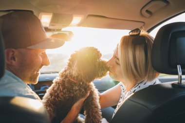 Çift, sevimli kahverengi Maltipoo 'yla arabada oturmaktan hoşlanıyor. Bir kadın köpeği öpüyor, yolculuk boyunca neşe ve arkadaşlık anı yakalıyor. Modern aile seyahatleri için mükemmel.