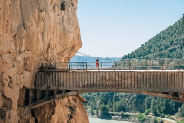 Dağ nehri üzerindeki Hanging Köprüsü 'nde dikilen yalnız yürüyüşçü kadın, Caminito del Rey' in dar Kanyon 'daki yürüyüş turu sırasında İspanyol Malaga ili vadisi manzarasının tadını çıkarıyor. Güney İspanya.