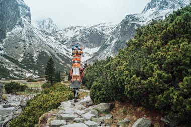 Strong man working as porter carrying huge cargo with traditional method for High Tatry region for altitude Mountain huts cargo provision delivery. Nature, transportation or goods delivery concept. clipart