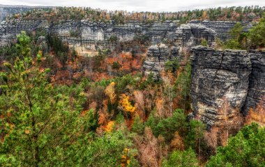 Çek Cumhuriyeti 'ndeki Bohemian İsviçre Ulusal Parkı' nda ormandaki renkli sonbahar ağaçları ve kaya oluşumları
