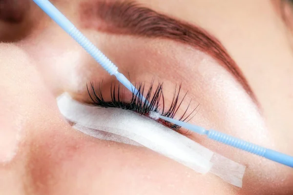 Beautician making artificial lashes. eyelash extension procedure in beauty salon