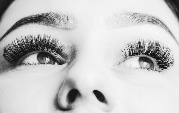 Dlouhé Černé Řasy Detailní Záběr Krásné Ženské Obočí Velké Oko — Stock fotografie