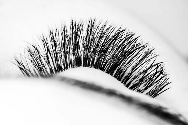 Schöne Makroaufnahme Des Weiblichen Auges Mit Extrem Langen Wimpern Schwarz — Stockfoto