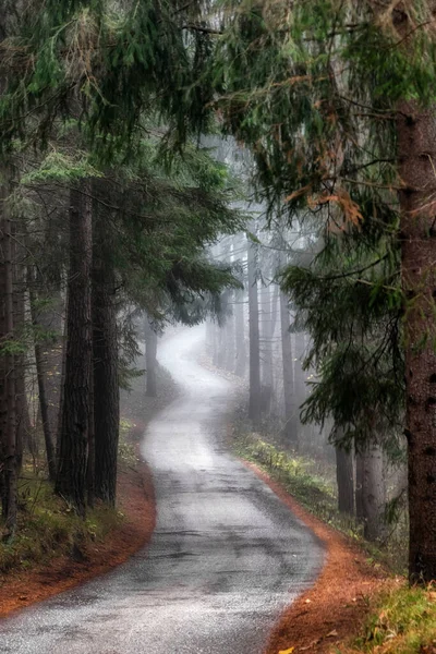 Spooky Empty Road Dark Scary Forest Clouds Smoke Autumn Foggy — Stock Photo, Image