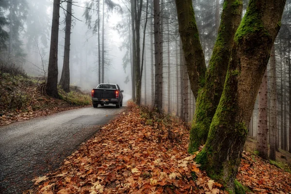 Car Asphalt Road Autumn Forest Misty Dark Weather — Stock Photo, Image