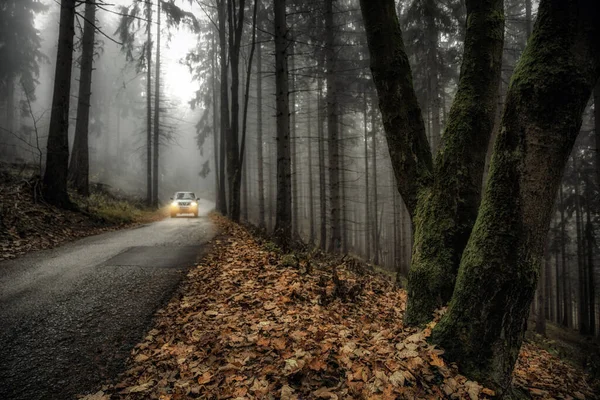 Foggy Morning Autumn Forest Asphalt Road — Stock Photo, Image