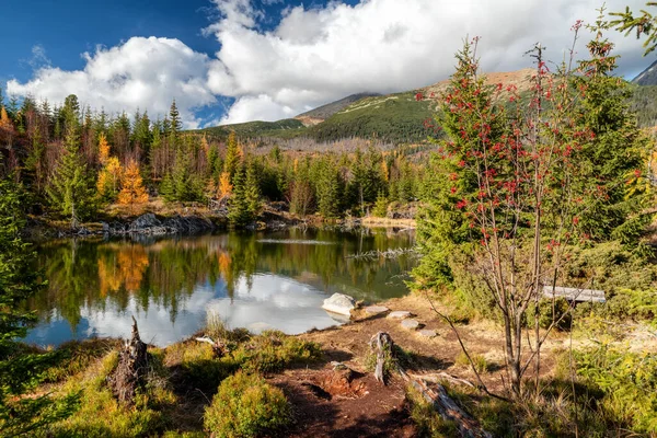 Horské Jezero Rakytovské Pliesko Podzimních Barvách Vysokých Tatrách Slovensku — Stock fotografie