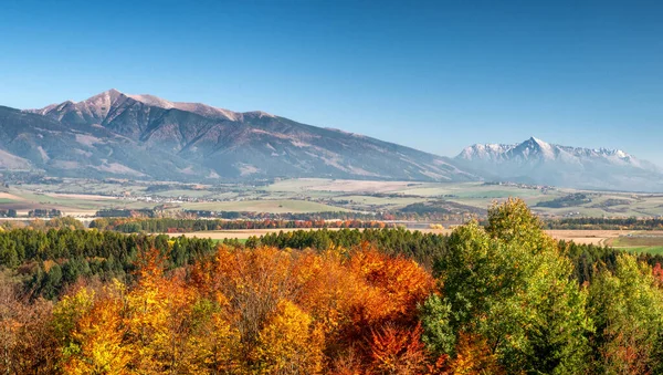 背景にカラフルな木々や高いピークと秋の風景 スロバキアにある西と高タトラ山脈 — ストック写真