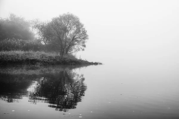 Отражение Дерева Берегу Озера Туманной Погодой — стоковое фото