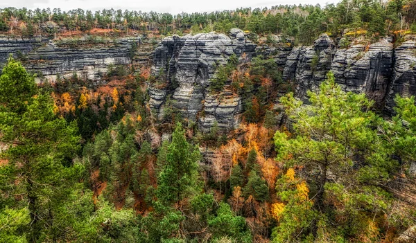 Árvores Coloridas Outono Formações Florestais Rochosas Parque Nacional Boêmia Suíça — Fotografia de Stock