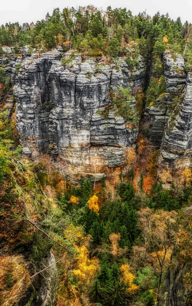 チェコ共和国のボヘミアンスイス国立公園の森林や岩の形成にカラフルな秋の木 — ストック写真
