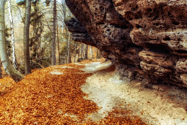 チェコ共和国のボヘミアンスイス国立公園の森の中の岩の形成とハイキングコース — ストック写真