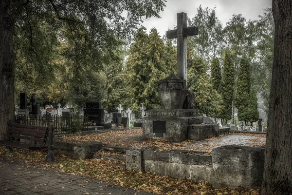 Ruzomberok Slovakia September 2022 Family Tomb Dusan Makovicky Cemetery Town — Stock Photo, Image