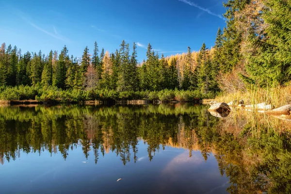 Slovakya 'daki High Tatras dağlarında sonbahar renklerinde Tarn Jamske Pleso. Su yüzeyindeki sonbahar ağaçlarının yansıması.