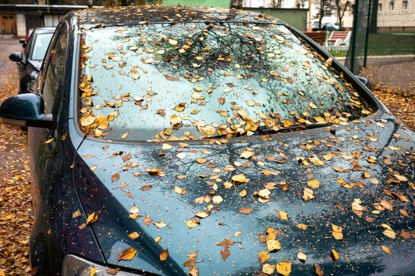 Sonbahar Mevsiminde Ağaçtan Düşen Sarı Yapraklarla Kaplı Park Halindeki Araba — Stok fotoğraf