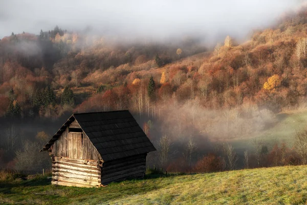 Stará Dřevěná Kůlna Louce Podzimním Lesním Pozadím Mlhavém Dopoledni — Stock fotografie