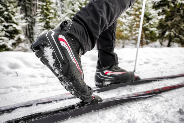 Pandangan Rinci Sepatu Ski Lintas Negara Aktivitas Olahraga Musim Dingin — Stok Foto