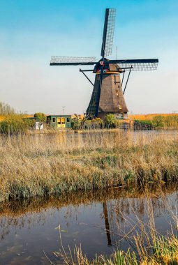 Netherladns kırsal alanda - Kinderdijk 'in ünlü yel değirmenleri.