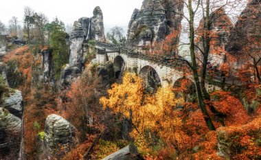 Bastei Köprüsü ve Sakson İsviçre ulusal parkında sonbahar ormanı Almanya