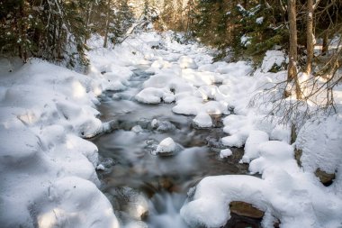 Dağ deresinde uzun süre donmuş soğuk su akışı yaşandı. Slovakya 'daki Jalovecka vadisi