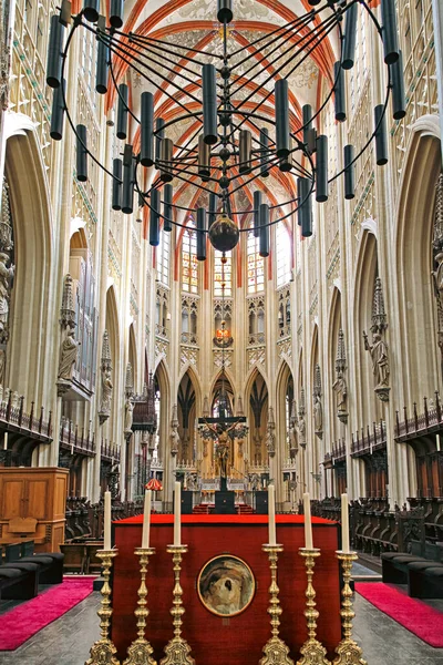 Hertogenbosch Nederländerna April 2014 Interiör Johns Katedral Staden Hertogenbosch — Stockfoto