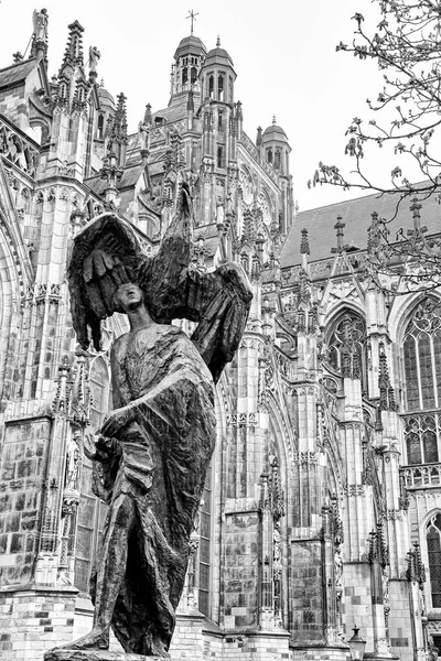 Standbeeld Voor John Cathedral Stad Hertogenbosch Nederland — Stockfoto