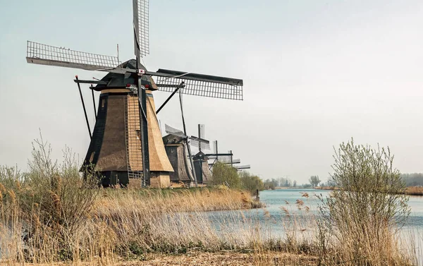 Beautiful Dutch Windmill Landscape Kinderdijk Netherlands — Stock Photo, Image