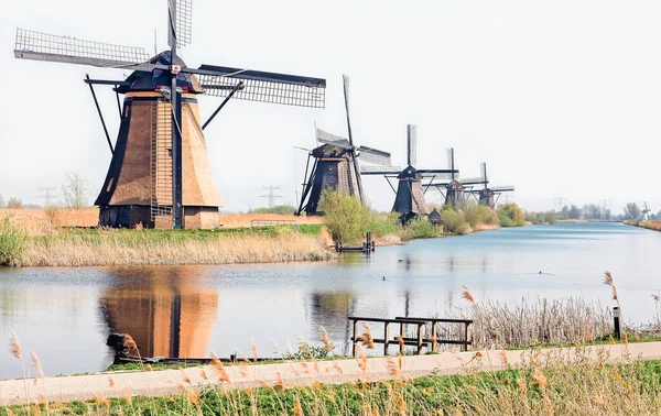 Red Molinos Kinderdijk Elshout Países Bajos Atracción Turística Holandesa — Foto de Stock
