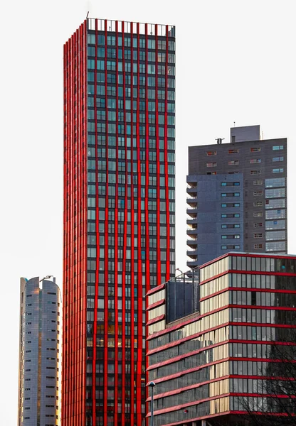 Design Moderne Architecture Dans Ville Rotterdam Pays Bas Skyline — Photo