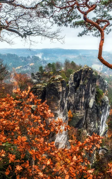 Національний Парк Саксонської Швейцарії Німеччини — стокове фото