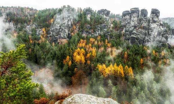 Klippformationer Och Dimmigt Väder Färgglad Höstskog Saxon Schweiz Nationalpark Tyskland — Stockfoto