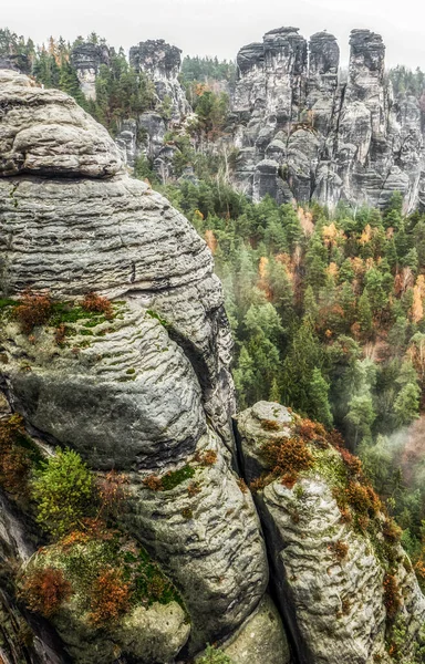 Sziklaképződmények Mély Őszi Erdőben Szász Svájci Nemzeti Parkban Németországban — Stock Fotó