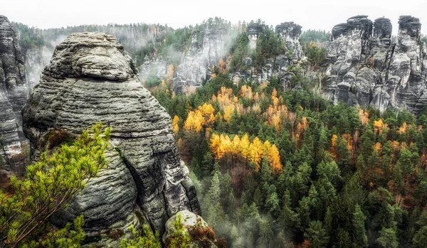 Bergformationer Djup Höstskog Saxon Schweiz Nationalpark Tyskland — Stockfoto