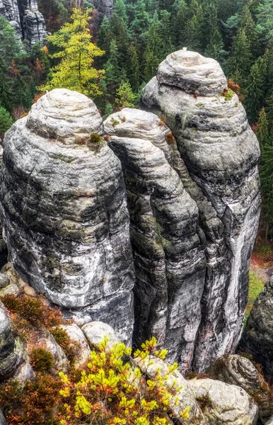 Formações Rochosas Florestas Profundas Outono Parque Nacional Saxon Switzerland Alemanha — Fotografia de Stock