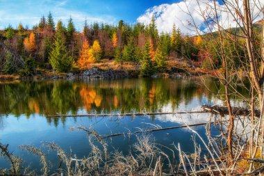 Suyun yüzeyindeki kozalaklı ağaçların yansıması. Sonbahar sezonu. Slovakya 'daki High Tatras dağlarında Tarn Rakytovske pliesko