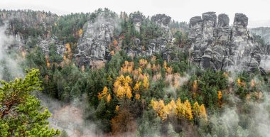 Bastei 'de renkli sonbahar ağaçları - Sakson İsviçre ulusal parkında kaya oluşumu, Almanya