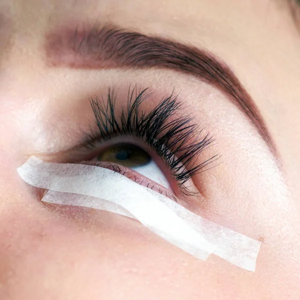 Eyelash Extension Procedure. Woman Eye with Long Eyelashes. Lashes, close up,