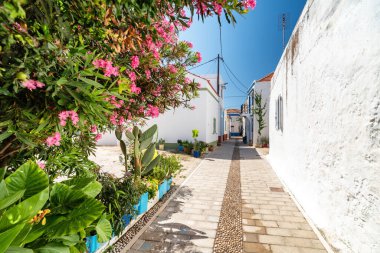 KOSKINOU, GREECE - 5 Temmuz 2022: Yunanistan 'ın tipik beyaz evleri ve mavi kapıları, pencerelerinde panjurları ve Yunanistan' ın Rodos adasındaki çiçek açan Bougainvillea çiçekleri olan Koskinou köyü
