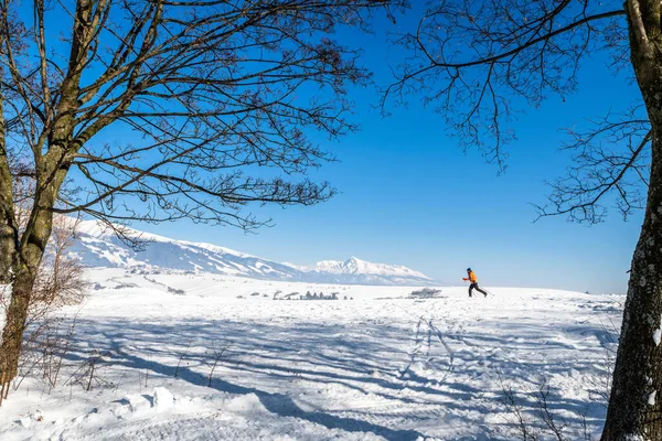 Liptovsky Mikulas Slovakia February 2023 Cross Country Skier White Snow — 图库照片