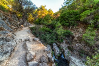 Yunanistan 'ın Rodos adasında Epta Piges adı verilen yedi pınarın bulunduğu ormandaki güzel manzara ve dağ yolu.