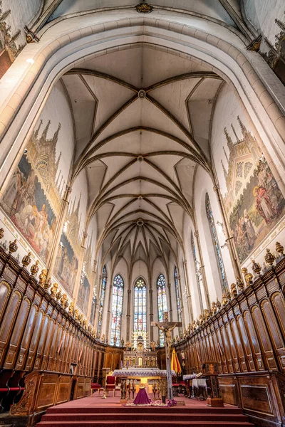 Trnava Slowakije Maart 2023 Interieur Van Sint Nicolaas Basiliek Stad — Stockfoto