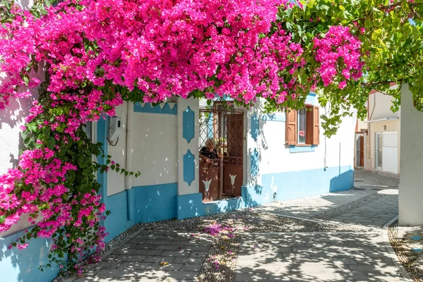 Koskinou Griekenland Juli 2022 Oudere Vrouw Typisch Grieks Huis Met — Stockfoto