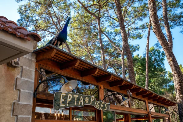 Epta Piges Grekland Juli 2022 Påfågel Och Turistmål Sju Källor — Stockfoto