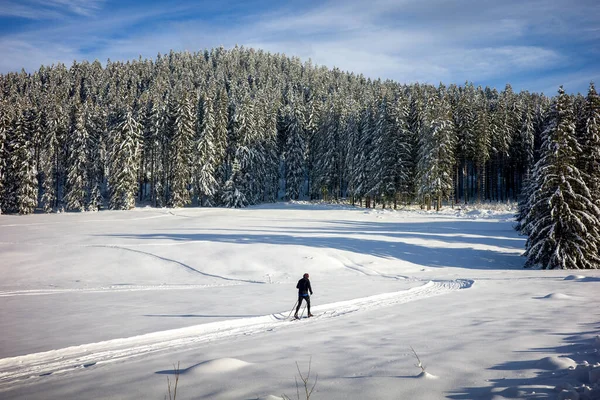 Esquiador Cross Country Neve Branca Com Floresta Inverno Fundo — Fotografia de Stock
